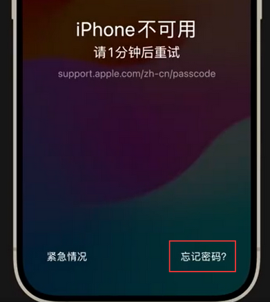 乌海苹果手机密码维修分享iPhone忘记了刚设置的密码 