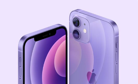 乌海苹果手机维修分享紫色版iPhone 12有什么技术亮点 